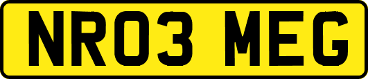 NR03MEG