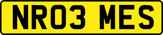 NR03MES