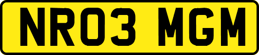 NR03MGM