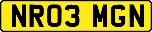 NR03MGN