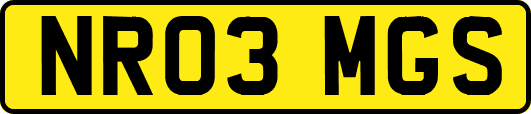 NR03MGS