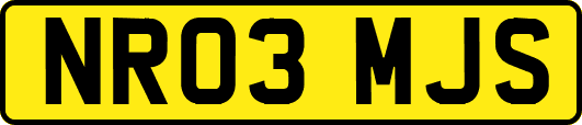 NR03MJS
