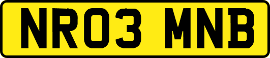 NR03MNB