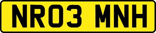 NR03MNH