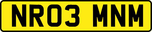 NR03MNM