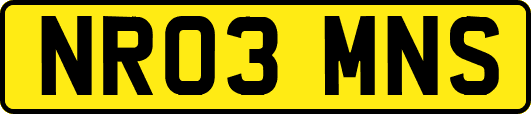 NR03MNS