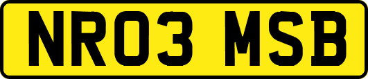 NR03MSB