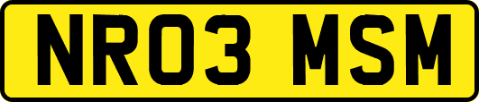 NR03MSM