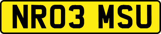NR03MSU