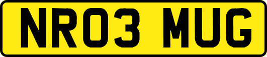 NR03MUG