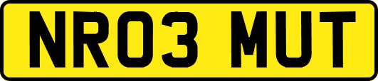 NR03MUT