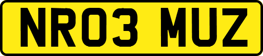 NR03MUZ