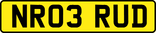 NR03RUD