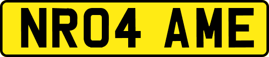 NR04AME