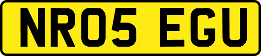 NR05EGU