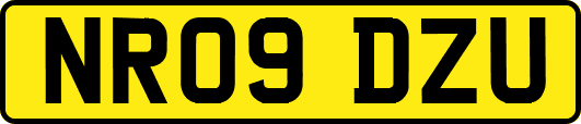 NR09DZU