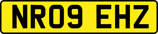 NR09EHZ