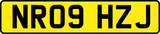 NR09HZJ