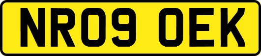 NR09OEK