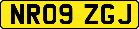 NR09ZGJ