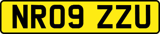NR09ZZU