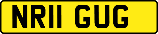 NR11GUG