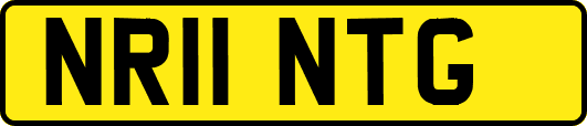 NR11NTG