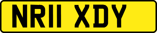 NR11XDY
