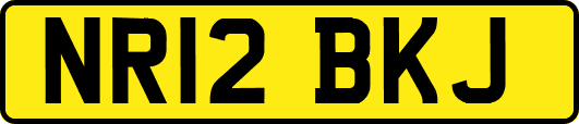 NR12BKJ