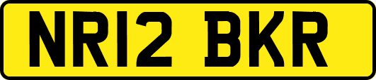 NR12BKR
