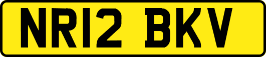 NR12BKV