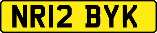 NR12BYK