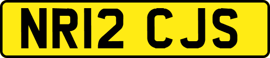 NR12CJS