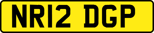 NR12DGP