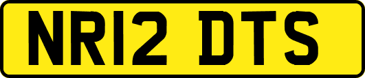 NR12DTS