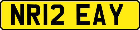 NR12EAY