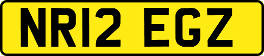 NR12EGZ