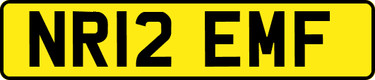 NR12EMF