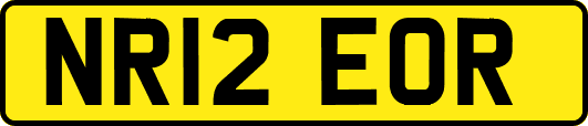 NR12EOR