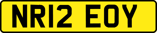 NR12EOY