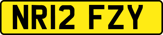 NR12FZY