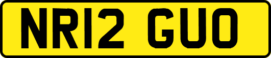 NR12GUO