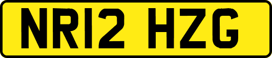 NR12HZG