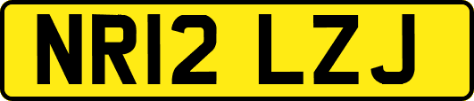 NR12LZJ