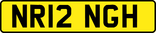 NR12NGH
