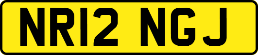NR12NGJ