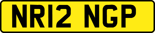 NR12NGP
