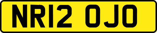 NR12OJO