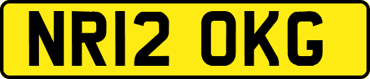 NR12OKG