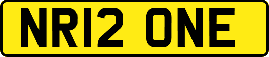 NR12ONE